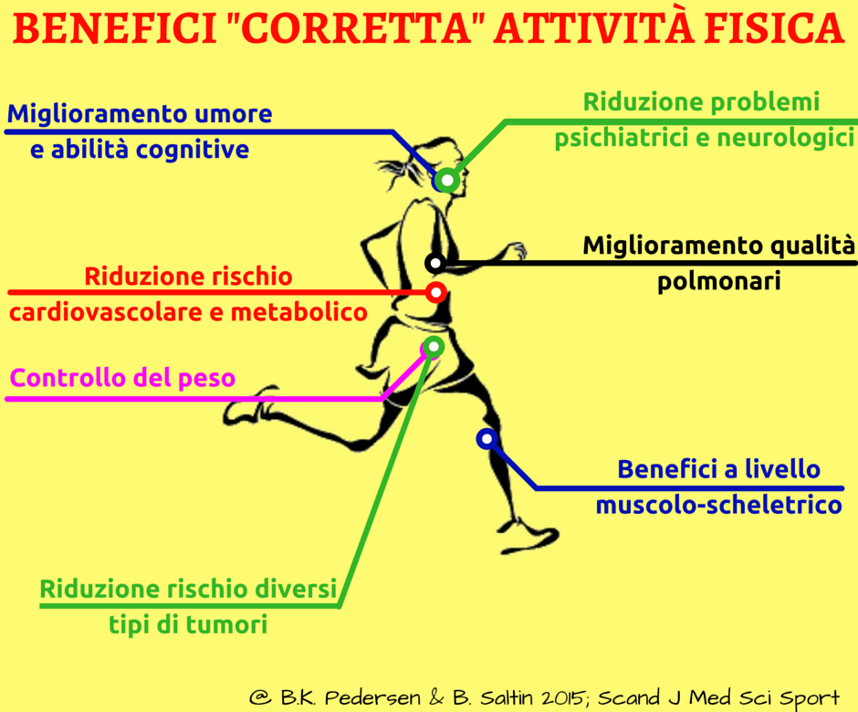 L’importanza dell’attività motoria
